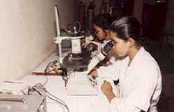 laboratory-two laboratory-two-image